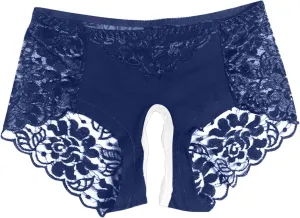 Sexy Lace Sheer Panties for Women Hollow Out Mesh See Through Erotic Briefs Plus Size Valentine Honeymoon Underpant