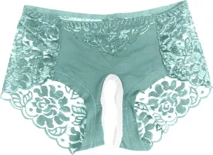 Sexy Lace Sheer Panties for Women Hollow Out Mesh See Through Erotic Briefs Plus Size Valentine Honeymoon Underpant