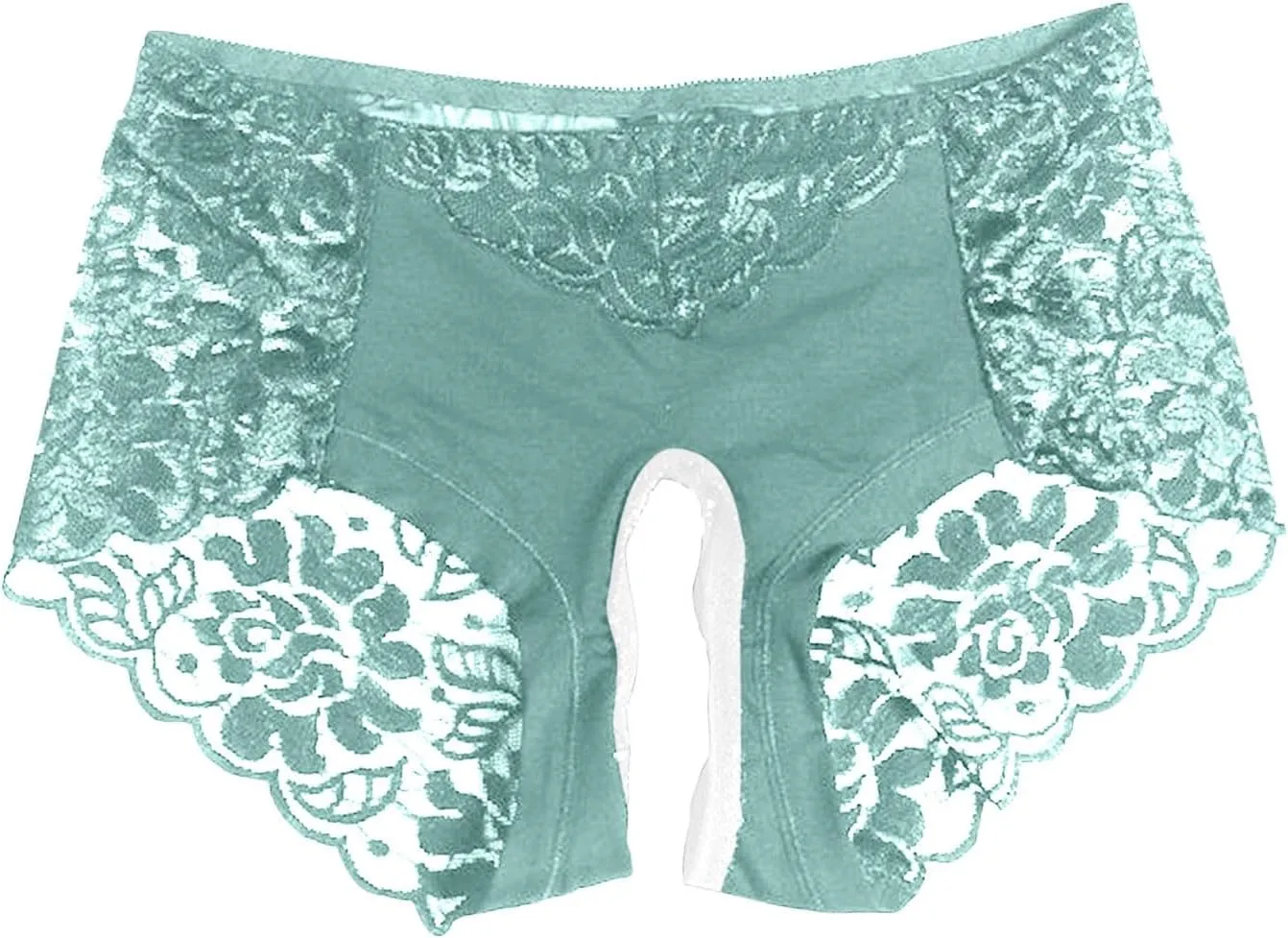 Sexy Lace Sheer Panties for Women Hollow Out Mesh See Through Erotic Briefs Plus Size Valentine Honeymoon Underpant
